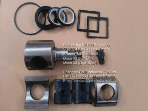 Major full set redressing kit for 2 inch Fig 1502 low torque plug valve including plug, inserts, and seals